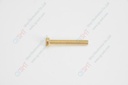 SCREW, M6X30 BRASS CHEESE HEAD