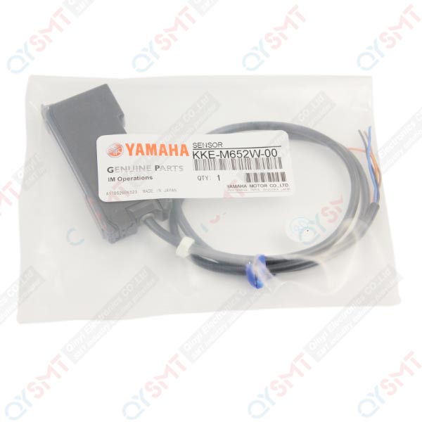 SENSOR CV2 ASSY