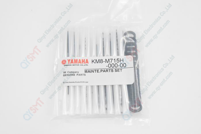 Maintenance kit for Yamaha yv100II